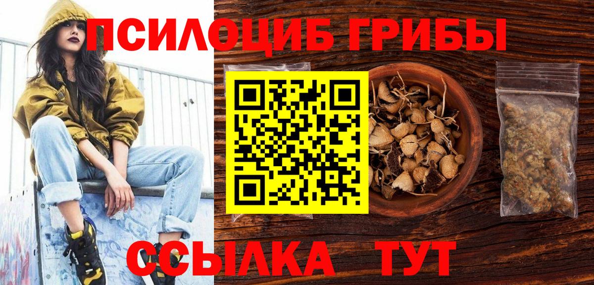Галлюциногенные грибы Губаха