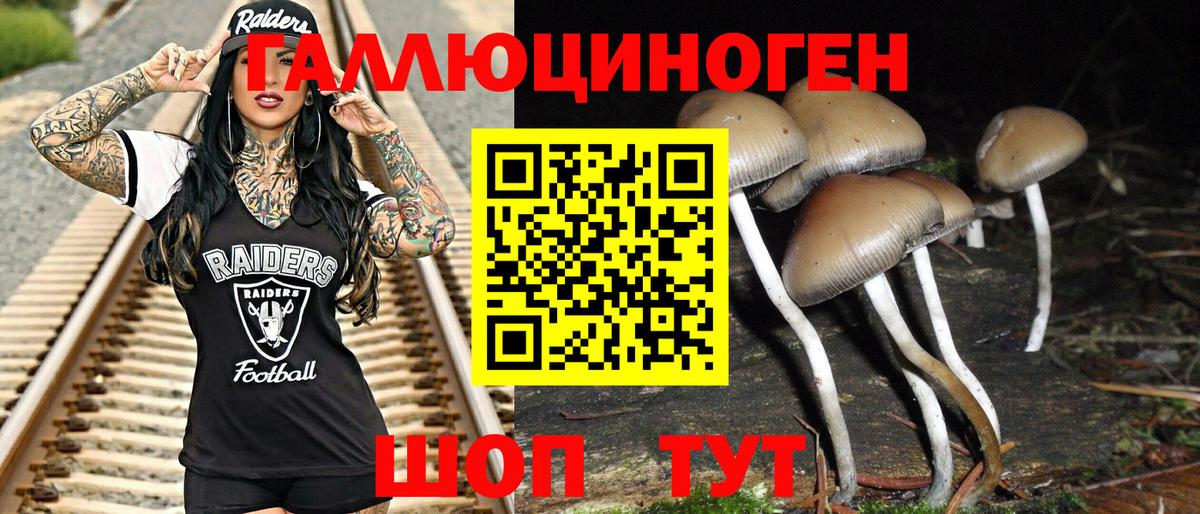 Псилоцибиновые грибы прущие грибы  Вход с VPN  Псилоцибиновые грибы Psilocybine cubensis  где можно купить наркотик  Губаха 